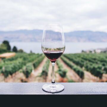 Santorini Wineries for Wine Lovers
