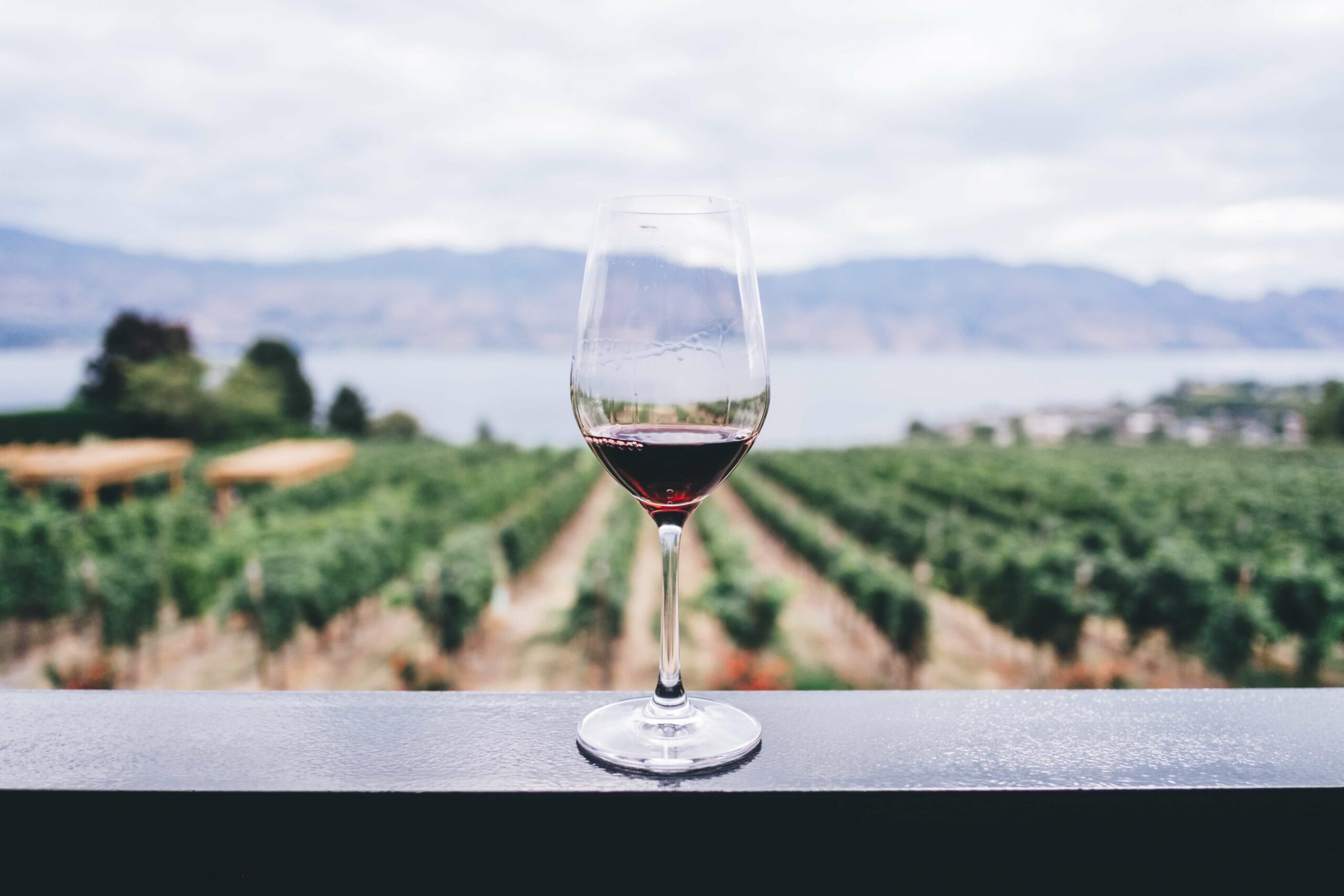 Santorini Wineries