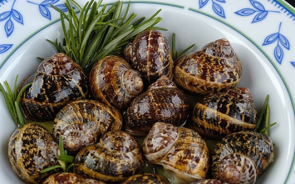 fried snails - cretan dish