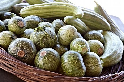 katsouni cucumber | GreeceFoodies
